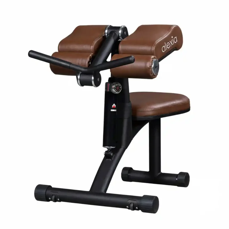 Li-Fit Biceps / Triceps