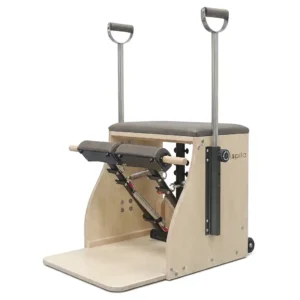 Combo Stability Chair